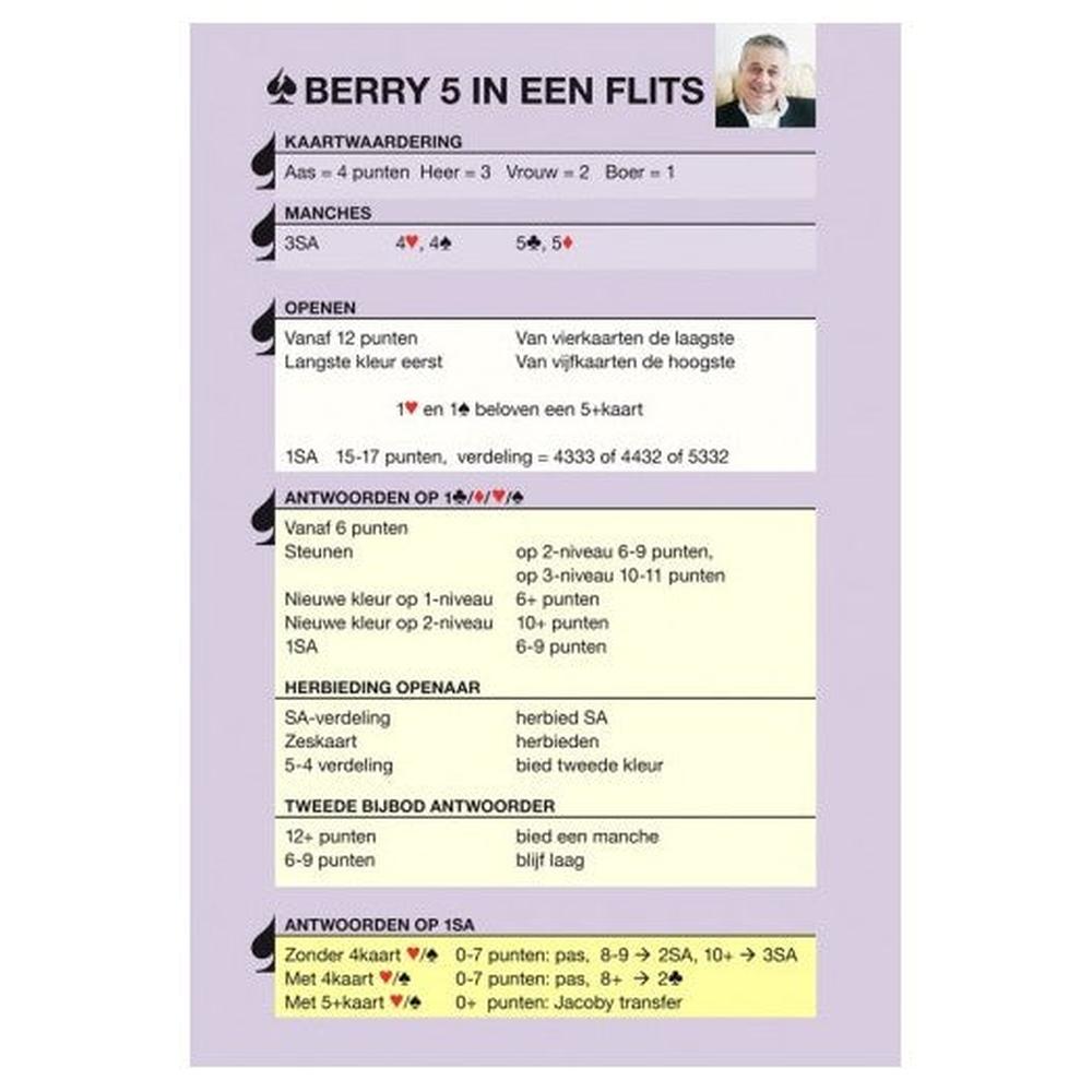 Geheugensteun 5 in een flits