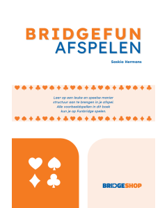 BridgeFun - Afspelen